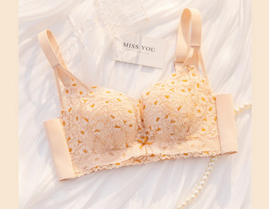 Naiste kaasaegne rinnahoidja paela ja reguleeritavate rihmadega