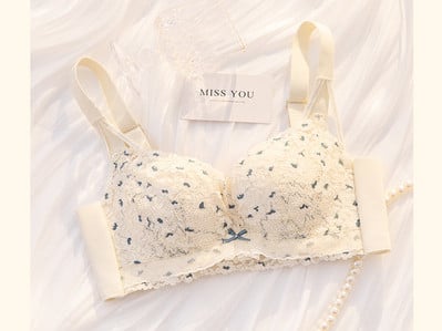 Naiste kaasaegne rinnahoidja paela ja reguleeritavate rihmadega