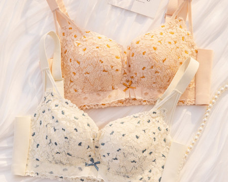 Naiste kaasaegne rinnahoidja paela ja reguleeritavate rihmadega