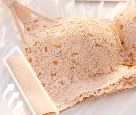 Naiste kaasaegne rinnahoidja paela ja reguleeritavate rihmadega