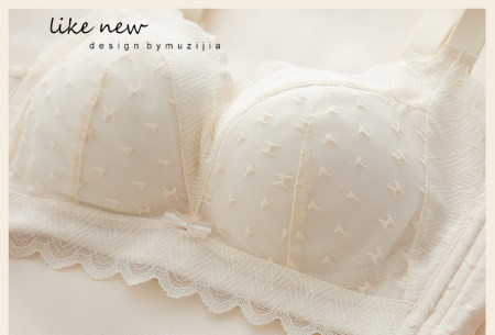 Naujo modelio moteriška liemenėlė su nėriniais ir reguliuojamais petnešėlėmis