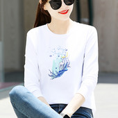 Naiste pikkade varrukate ja tikanditega pluus