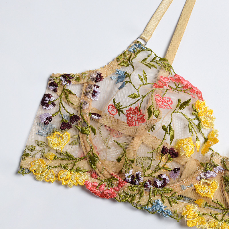 DM seksualus, jausmingas apatinis trikotažas moterims, puošnus nėrinių komplektas, 2 dalių, permatomas apatinis trikotažas, siuvinėjimas, erotinė liemenėlė ir kelnaitės