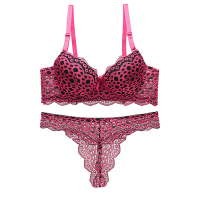 Julexy New 2020 leopardo raštais seksualus tuščiavidurių liemenėlių rinkinys nėrinių push up ABC Cup apatinių komplektas