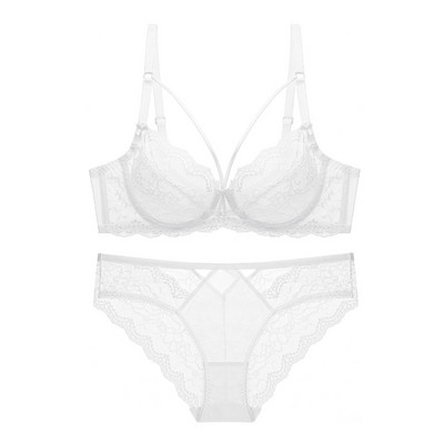Valge tikandiga Seksikas pesu rinnahoidja ja aluspüksid, läbipaistev üliõhuke Push Up rinnahoidja pits naiste aluspesu komplektid E Cup
