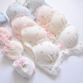 Kahevärviline vees lahustuv pesu tikandiga kilega tops bralette ilma terasrõngata värske ja tütarlapselikult armas kogumispesu rinnahoidja komplekt