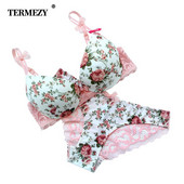 Įžymus prekės ženklas Sexy High Quality Moteriškas liemenėlių rinkinys spausdinimui Šilkiniai nėriniai Flower Push up Didelio dydžio apatiniai Bow liemenėlė ir tuščiavidurės kelnaitės