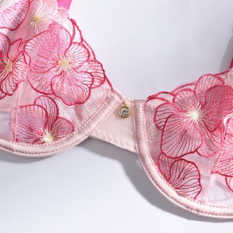 Aduloty Nauja Vasarinė Seksuali Daug Spalvų Siuvinėjimas Gėlių nėriniai Skaidrūs Apatiniai Ploni Erotiniai apatiniai liemenėlių dirželių rinkinys