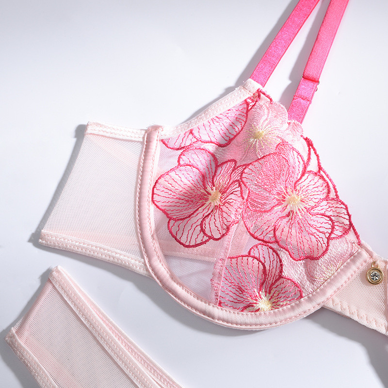 Aduloty Nauja Vasarinė Seksuali Daug Spalvų Siuvinėjimas Gėlių nėriniai Skaidrūs Apatiniai Ploni Erotiniai apatiniai liemenėlių dirželių rinkinys