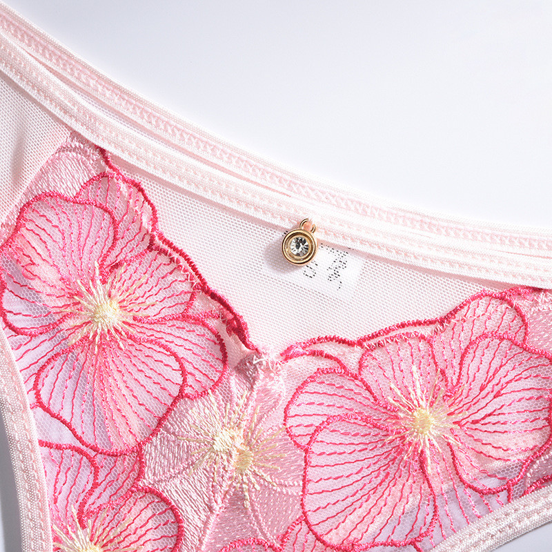 Aduloty Nauja Vasarinė Seksuali Daug Spalvų Siuvinėjimas Gėlių nėriniai Skaidrūs Apatiniai Ploni Erotiniai apatiniai liemenėlių dirželių rinkinys