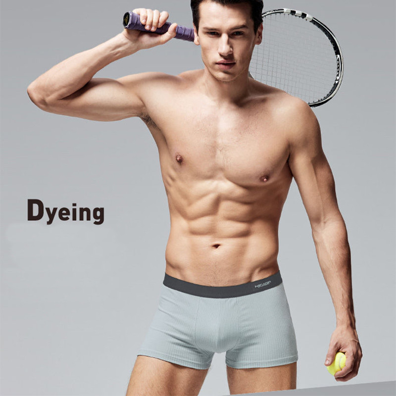 4 komada muških kratkih hlača Seksi bokserice Pamučno donje rublje Muške prozračne gaćice Jednobojne bokserice Brand gaće