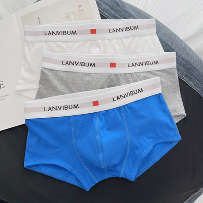 Boxer pentru bărbați cu inscripție 3 piese într-un set