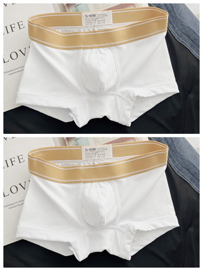 Dviejų boksinių kelnaičių rinkinys su plačia guma