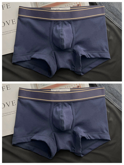 Dviejų boksinių kelnaičių rinkinys su plačia guma