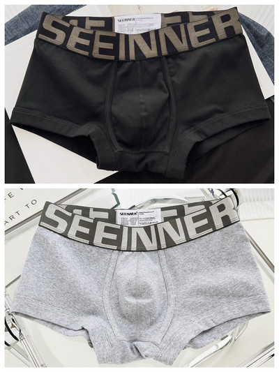 Boxeri de zi cu zi pentru bărbați cu inscripție - două piese