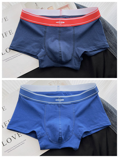 Boxeri bărbați din bumbac set de 2