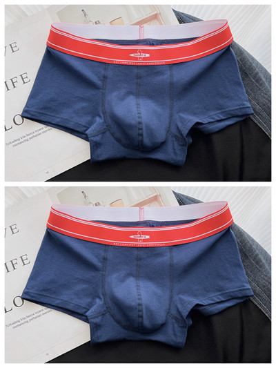 Boxeri bărbați din bumbac set de 2