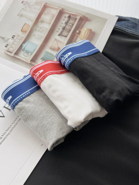 Boxeri bărbați din bumbac set de 2