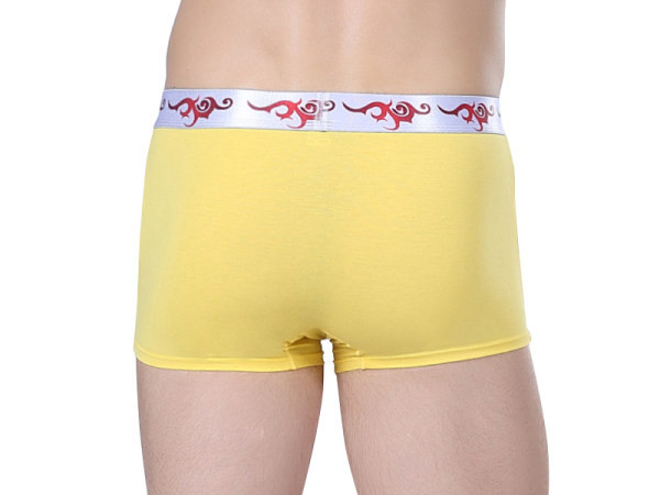 Vyriškos vienspalvės boksinės kelnaitės iš kvėpuojančios medžiagos