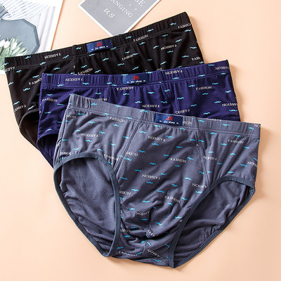 Ανδρικά εμπριμέ σλιπ σε Plus Size