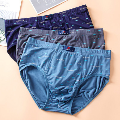 Ανδρικά εμπριμέ σλιπ σε Plus Size