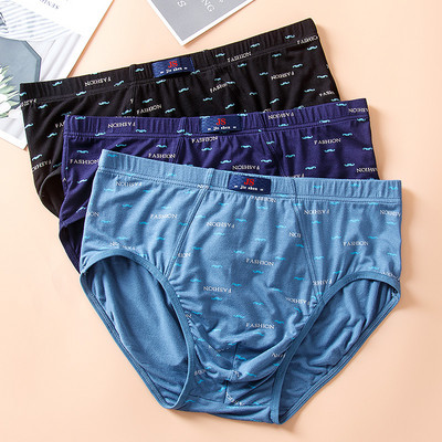 Ανδρικά εμπριμέ σλιπ σε Plus Size