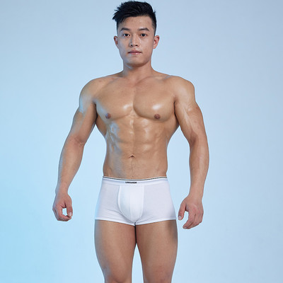 Pamučne bokserice za muškarce s niskim strukom
