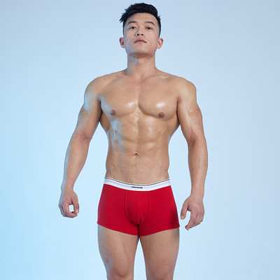 Pamučne bokserice za muškarce s niskim strukom