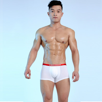 Vyriški bokso šortai su užrašu