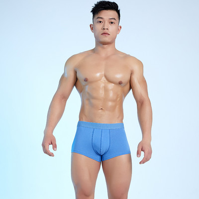 Model curat de boxeri barbatesti mai multe culori