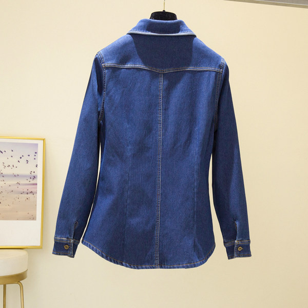 Džinsiniai marškiniai su klasikine apykakle ir pūkiniu pamušalu