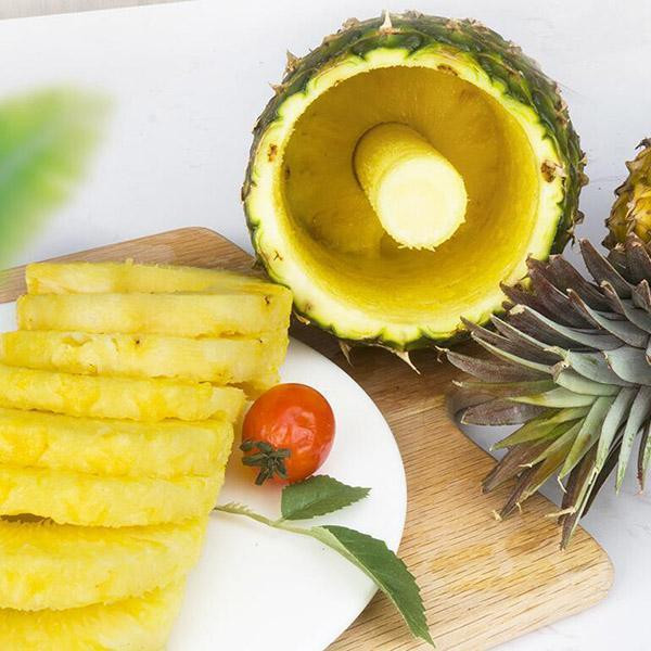 2 naudojimo nerūdijančio plieno ananasų skustukas Vaisių peilis pjaustyklė Spiralinė ananasų pjaustymo mašina Lengva naudoti virtuvės įrankiai