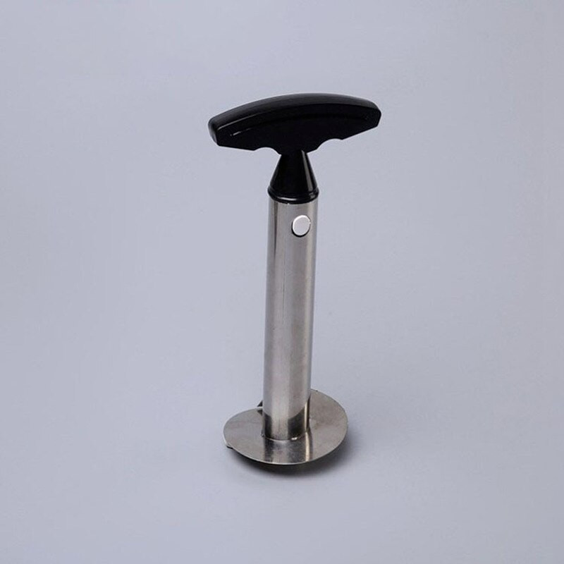 201 Rezač za ananas od nehrđajućeg čelika Gulilica za ljuštenje voća Corer Rezač za kuhinju Jednostavan alat Spiralni rezač za ananas Novi dodaci za posuđe