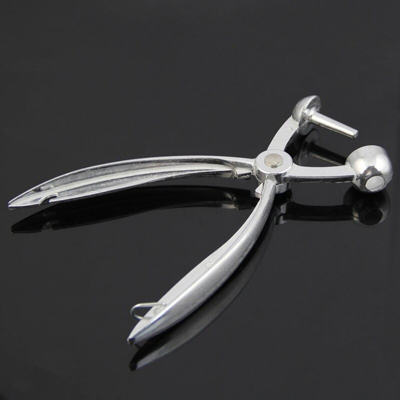 1 komad srebrne aluminijske posude za koštice od trešanja i 1 komad kalupa za pečenje kolača Mass Craft rešetkasti valjak za rezanje lisnatog tijesta