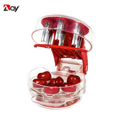 Alat za uklanjanje koštica od nehrđajućeg čelika od nehrđajućeg čelika Višestruki alat za uklanjanje koštica od maslina Alat za masline s košticama i posudom za sok 6 trešanja