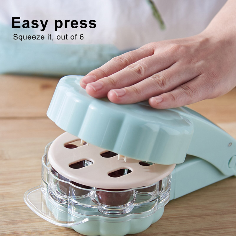 Alat za uklanjanje koštica od koštica od trešnje i masline. Prijenosni alat za uklanjanje koštica od koštica od višestrukih trešanja. Alat za uklanjanje koštica od voća s prostorom.