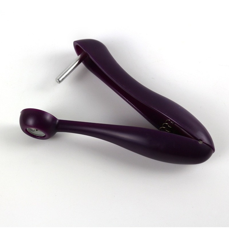 Jednostavan alat za uklanjanje sjemenki plodova trešnje Kuhinjski alati Modni alat za uklanjanje koštica od voća trešnje Kuhinjski pribor