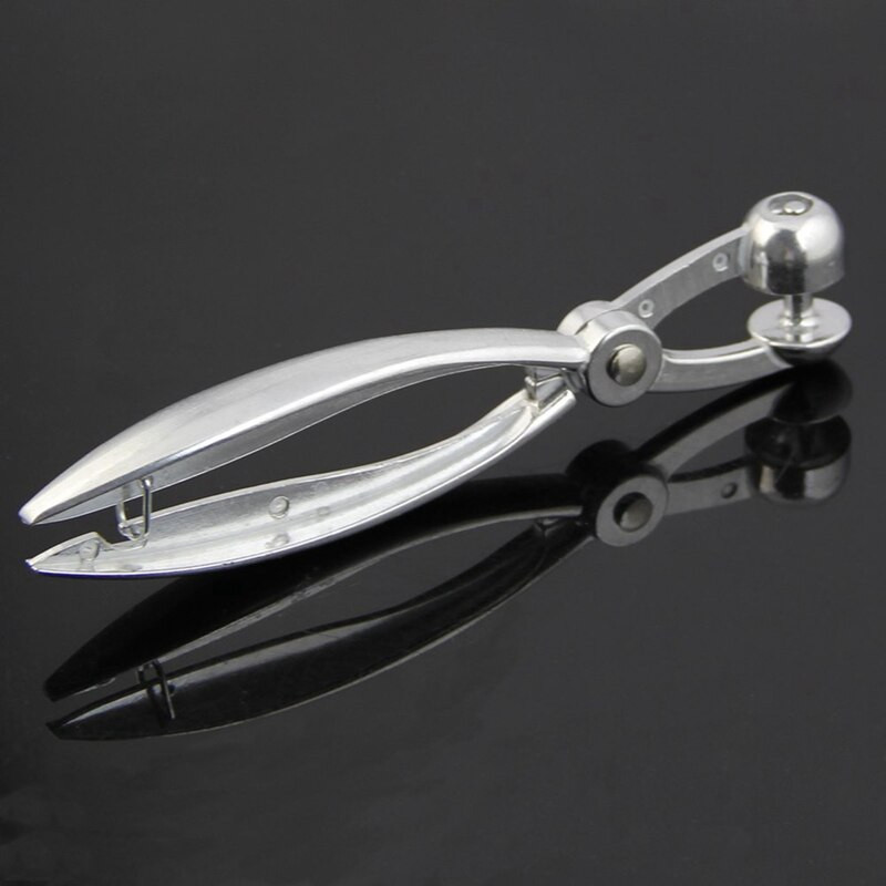 1 komad srebrne aluminijske posude za koštice od trešanja i 1 komad kalupa za pečenje kolača Mass Craft rešetkasti valjak za rezanje lisnatog tijesta