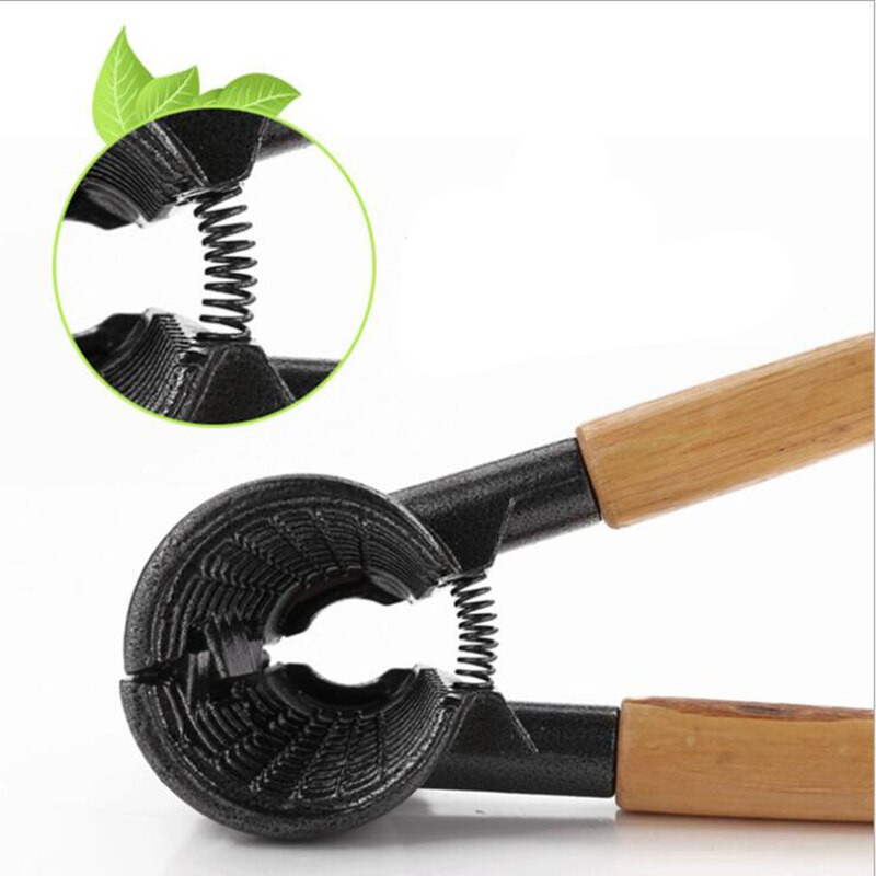 Stezaljka od oraha Kuhinjski alati za kućanstvo Drvena drška od legure aluminija Kliješta za orahnjače Višenamjenska kopča u obliku oraha