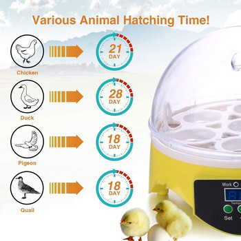 7 Eggs Chicken Bird Incubator Αυτόματος Έξυπνος Έλεγχος Θερμοκρασίας Quail Parrot Home Incubation Brooder Tools