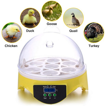7 Eggs Chicken Bird Incubator Αυτόματος Έξυπνος Έλεγχος Θερμοκρασίας Quail Parrot Home Incubation Brooder Tools