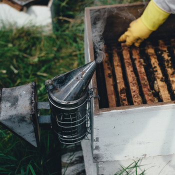 Пръскачка за дим от неръждаема стомана Bee Smoker Apiculture Beekeeper Dedicated Smoked bee Пчеларско оборудване 1 бр.