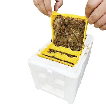 1 комплект Queen Bee Rearing Mating Beehive Пчеларски инструменти Кошери от пяна Nuc Harvest Pollination BeesHive Box Beekeeper Suppliers