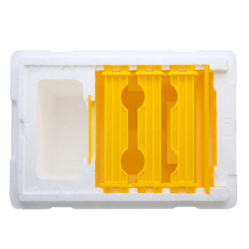 1 rinkinys Bičių karalienės auginimas Poravimosi avilys Bitininkystės įrankiai Putplasčio aviliai Nuc Derliaus nuėmimas Apdulkinimas Bitės Avilys Dėžė Bitininkų tiekėjai