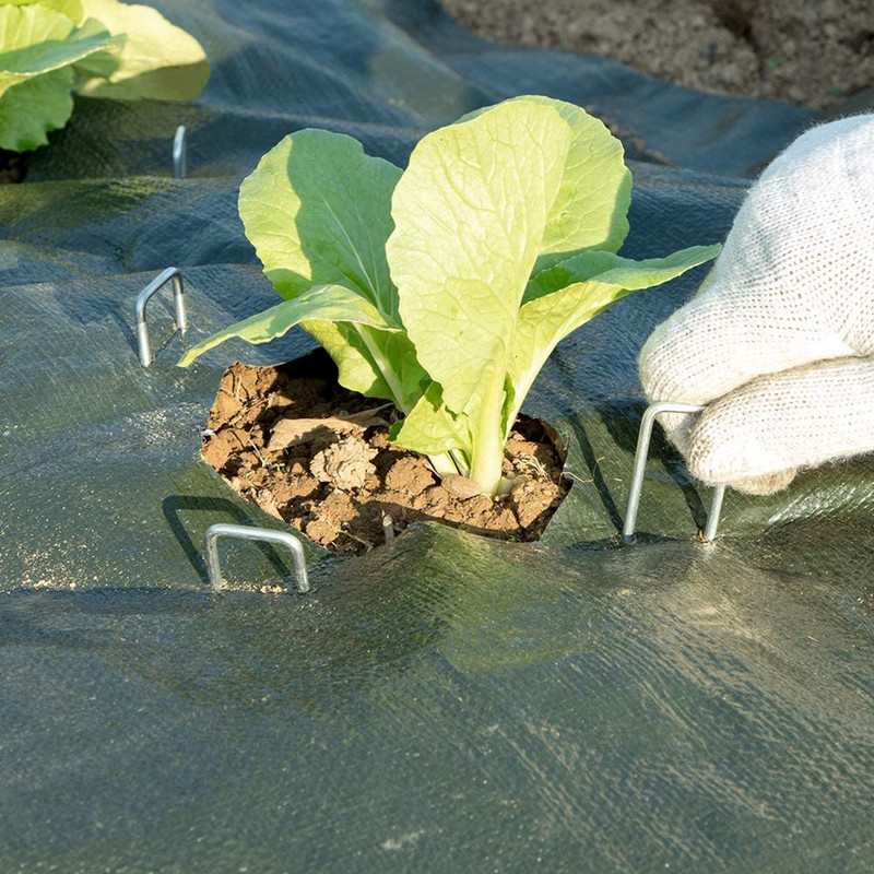 50 kusov 6-palcových záhradných kolíkov, pozinkovaných záhradných spon, ťažkých kolíkov na trávnik, plotových kolíkov na ochranu proti burine, kryt pôdy