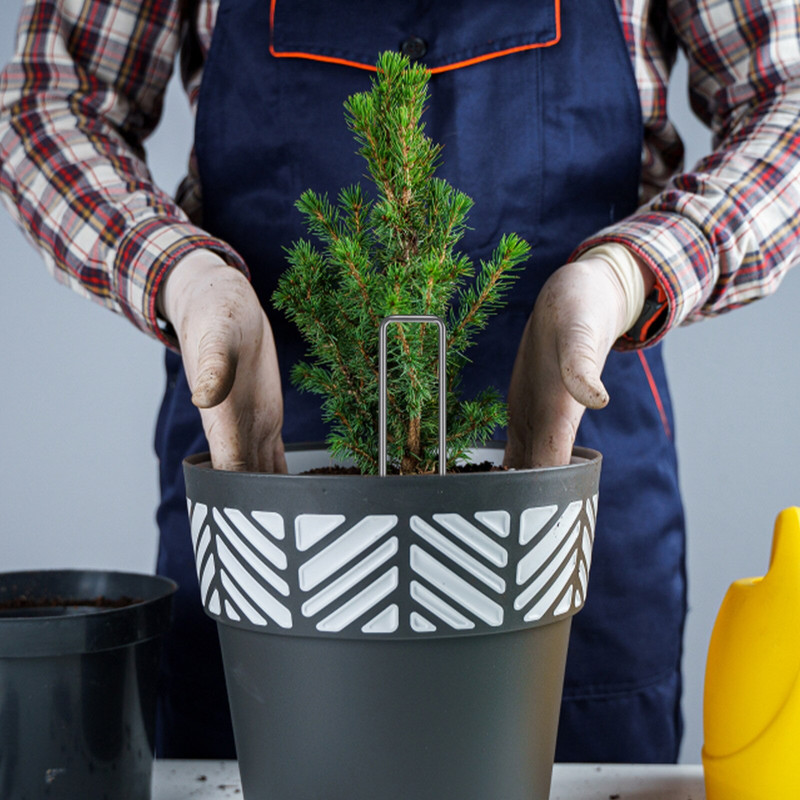 50 vnt. Didelio našumo U formos sodo kuoliukai Cinkuotos kraštovaizdžio kabės kraštovaizdžio audinio drėkinimo vamzdelių tvirtinimui