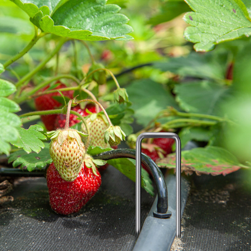50 vnt. Didelio našumo U formos sodo kuoliukai Cinkuotos kraštovaizdžio kabės kraštovaizdžio audinio drėkinimo vamzdelių tvirtinimui