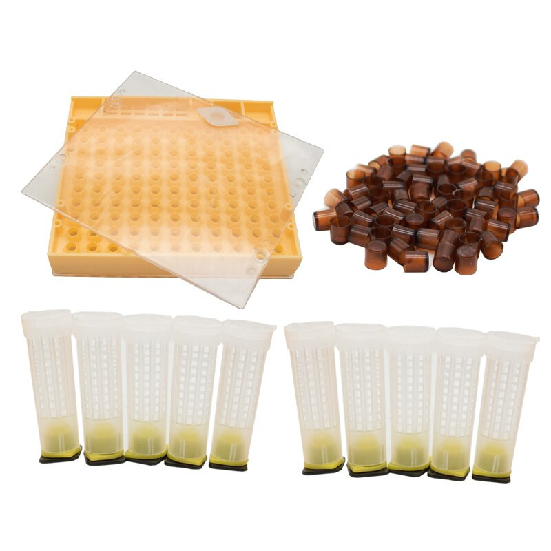 Horúci výpredaj včelárskeho náradia Sada systémov na odchov kráľovnej, kultivačný box, bunkové poháre, včelí Nicot, kompletná lapacia klietka, včelárske vybavenie