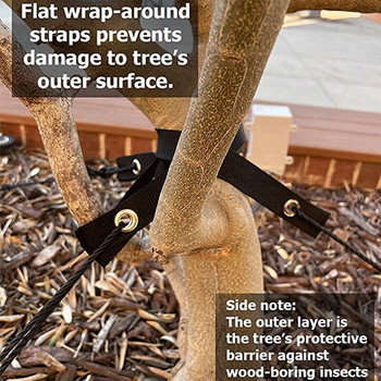 Комплект колове за дървета Поддържащи ремъци за дървета с въже Поддържащи растения котви Професионални за млади дървета Защитават от вятър