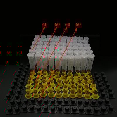 60 ks profesionálna včelárska klietka na kráľovnú, chov kvalitných ochranných krytov, plastová klietka na včely, veľkoobchodné náradie na včely